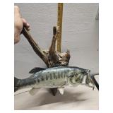 Bass mount 23" x25"