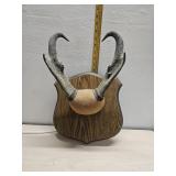 Pronghorn mount