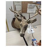 1991 deer mount 34"ï¿½20"ï¿½23"