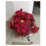 Poinsettia