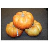 Large Pumpkins lot of 3 11