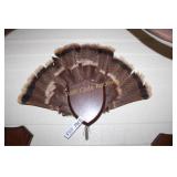 Turkey Tailfeather Mount
