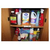 Cleaning and Pesticides lot - Bleach, Resolve,