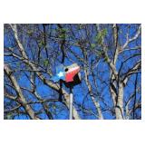 Bird House Texas