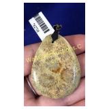 Agatized Coral Pendant