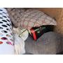 FURNITURE, BABY ITEMS, BOXES