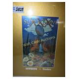 Official NFL Superbowl  XXX Theme Art Cowboys