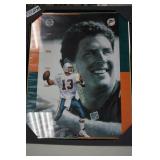 Marino framed art approximately 16"x20"