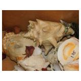 Sea Shells and Sea Gulls - Large Lot