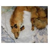 Mink Collars lot of 2 Real Mink