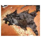 Black Bear/Animal Hide and Fur Wall Hanging