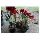 Potted Silk Flowers In Pots Lot of 4