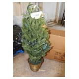 Christmas Tree In Pot 3
