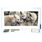 Wolves Tundra Summit by Carl Brenders COA