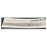 Vntg Panoramic Yard Longï¿½Military Personnel Photo