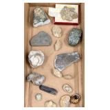 Fossils & Native Relics Crinoid & Bryozoan +
