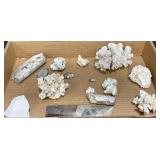 Fossils Collection  Corral, Rocks +