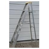 Davidson Aluminum Ladder w Safety Features