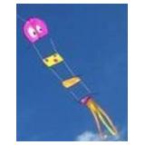 Case of 75 New Whimsical Caterpillar Kites