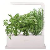 New Grobo Indoor Seedling Starter Planter