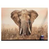 Elephant in the Savanna Canvas Art Print