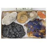 Rare Crystal & Fossil High End Collection