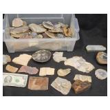 Lapidary Slabs Collection, Variety of Colors