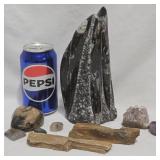 Polished Orthoceras Fossilï¿½Sculpture, Rocks +