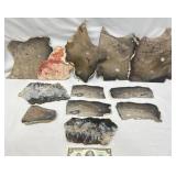 Assortment Polished Sliced Stone Slabs