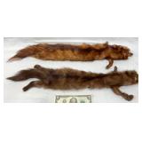 2 Taxidermy Fox Pelts w Glass Eyes