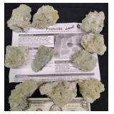 10 Prehnite Mineral Specimens on Matrix