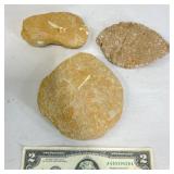 3 Fossil Stones w Embedded Details