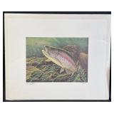 Rainbow Trout LE Art Print by Victor Erickson