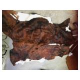 large Cow hide - good condition