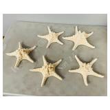 5 assorted Starfish