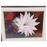 framed print 36/560 "cactus Flower" signed