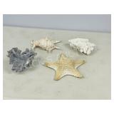 assorted seashells