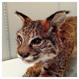 Spring Estate Sale #2