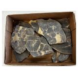 9 Pc Septarian Nodules