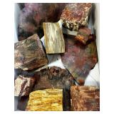 10 Pc Rainbow Arizona Petrified Wood