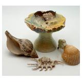 Unique Signed Pottery Vase with Shell Decor