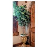 Ficus Tree in Tall Cement Planter 87"