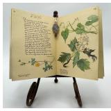 ï¿½The Country Diary of an Edwardian Ladyï¿½ w/ Stand
