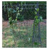 2 Garden Trellises 48" Tall