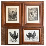 4 Framed Ludlow Poultry Prints