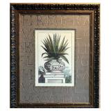 Ornate Framed Print Of A Aloe Ferox Plant