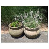 2 Terra Cotta Planters w/Flowers
