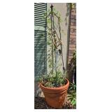 Terra Cotta Planter w/Plant Cage & Decor