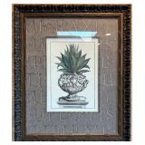 Ornate Framed Print Of A Aloe Americana Plant