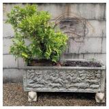 Figural Planter w/Eastern White Cedar